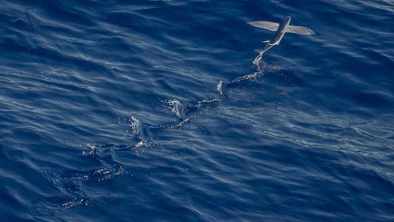 cover of previous post